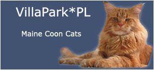 Baner hodowli kotów rasowych Maine Coon Villa Park*PL